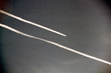 1973 B52's Returning from Cambodia to Guam
